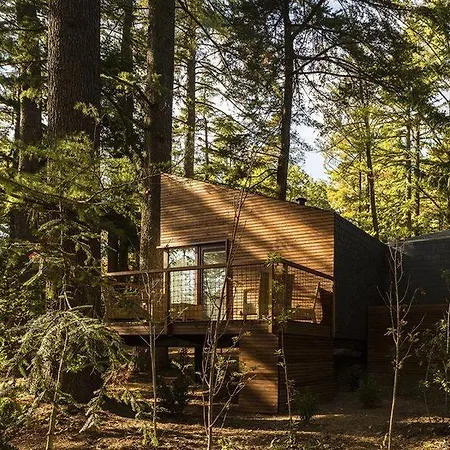 佩德拉什萨尔加达什spa及自然公园酒店