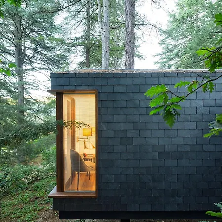 佩德拉什萨尔加达什spa及自然公园酒店 假日公园