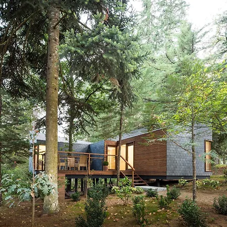 假日公园 佩德拉什萨尔加达什spa及自然公园酒店