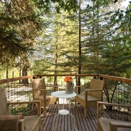 Tatil parkı & Nature Park Pedras Salgadas