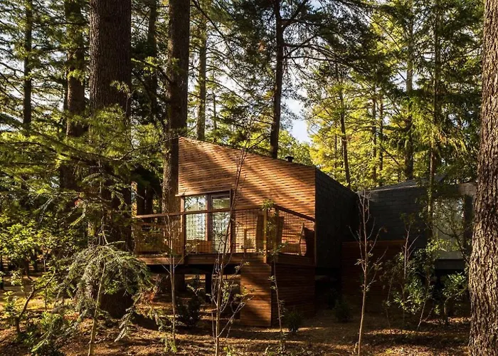 & Nature Park Village de vacances Pedras Salgadas