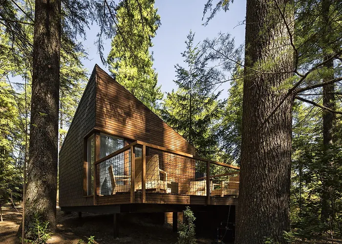 & Nature Park Semesterpark Pedras Salgadas